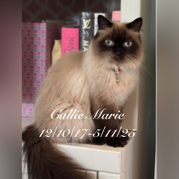 House Fire - Picture 7 of 12